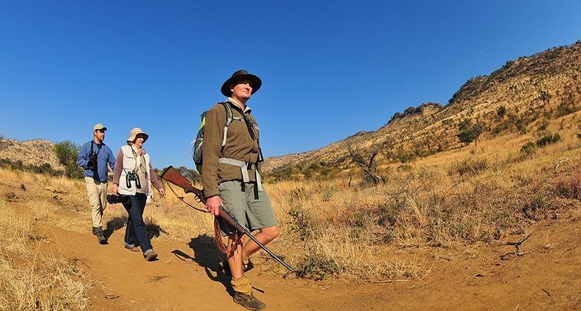 BushWalk.jpg