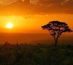 Best Time to Visit Pilanesberg Game Reserve