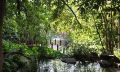 The-Cascades-gardens.jpg
