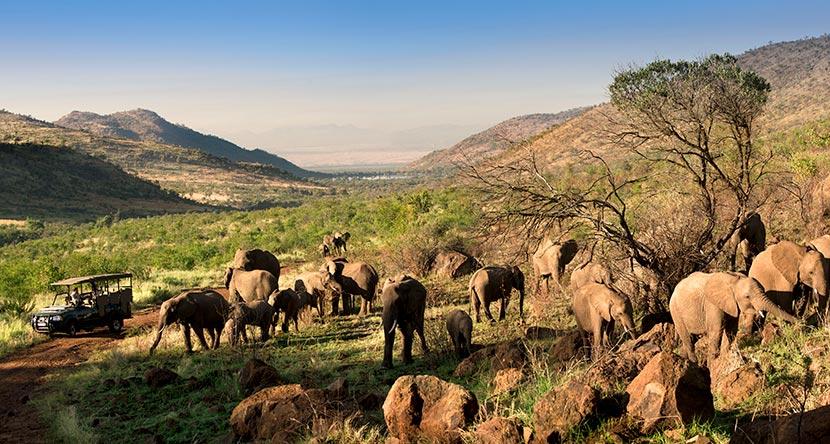 Kwa-Maritane-Elephant-Panoramic.jpg