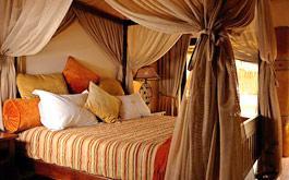 
Ivory Tree Game Lodge